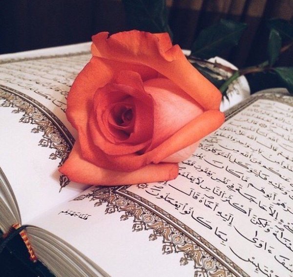 Цветы в Исламе