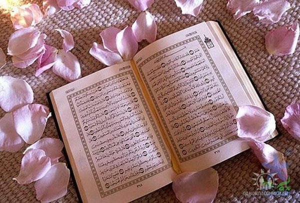 Коран и цветы