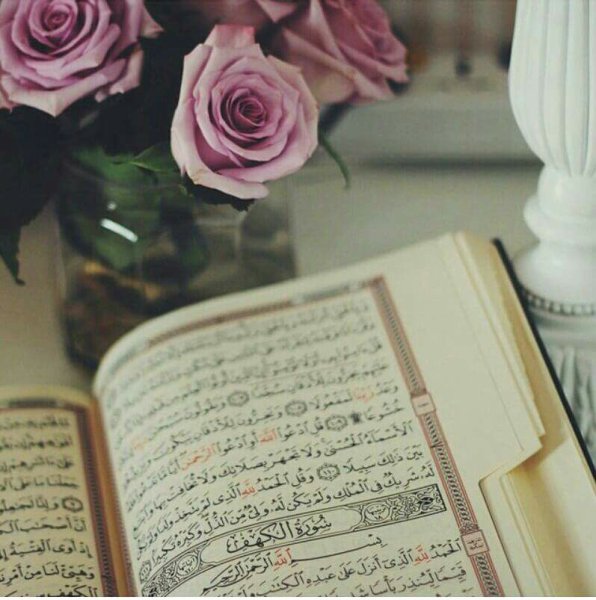 Коран и роза