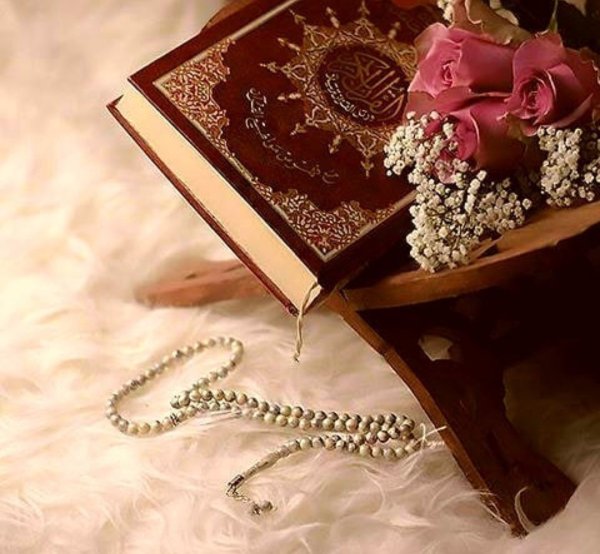 Коран и роза