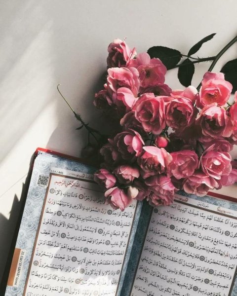 Коран и роза