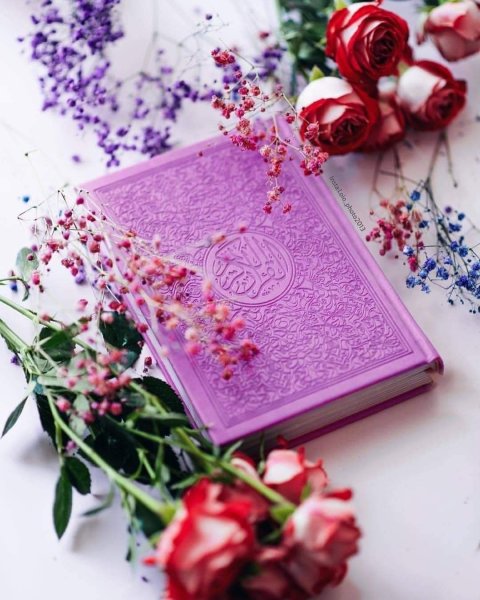 Коран и роза