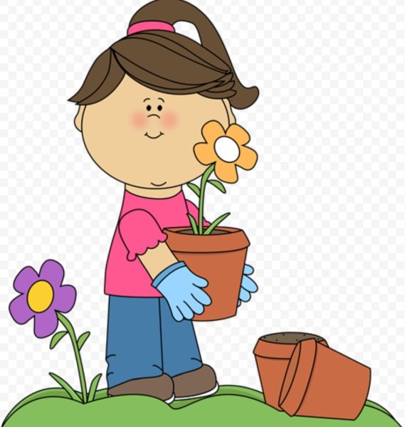 Цветовод рисунок для детей