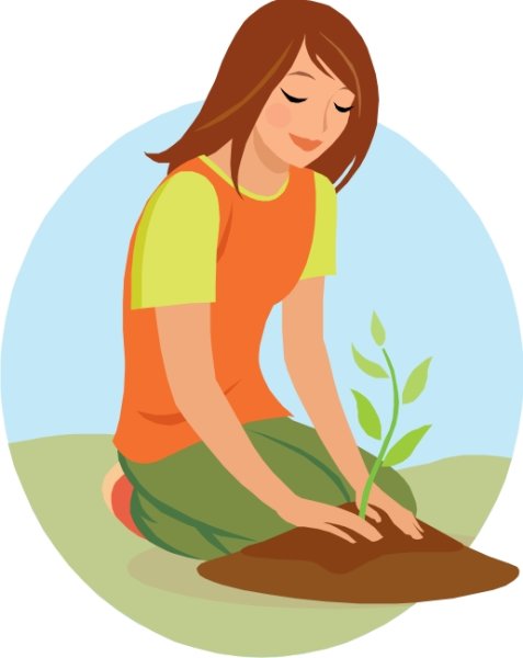 Рисунок посадка цветов