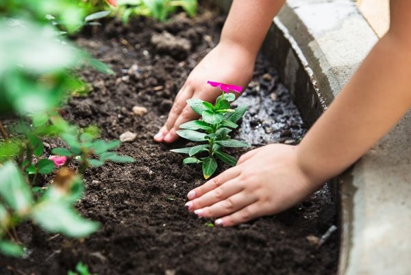 Сажать цветы