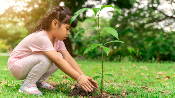 Девушка сажает дерево