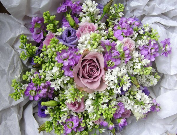 Вероника сиреневая для букета