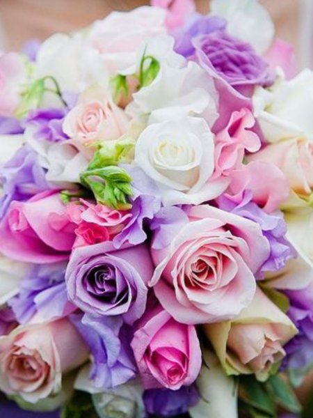 Гортензия Матиола Ирис