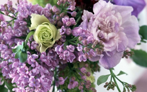 Красивые композиции цветов