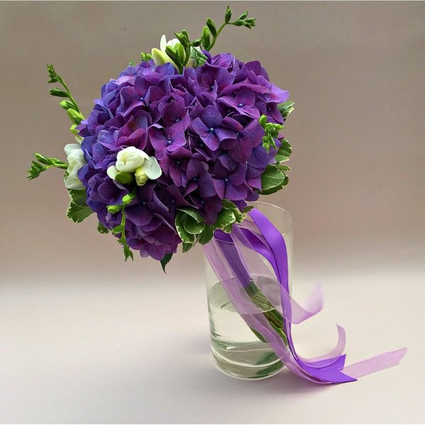 Орхидея Ванда лиловая