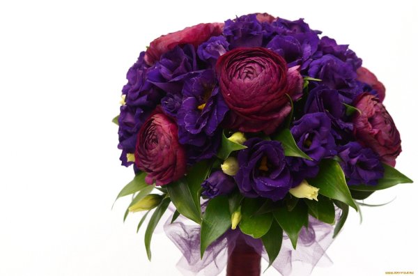 Пионовидные розы сиреневые