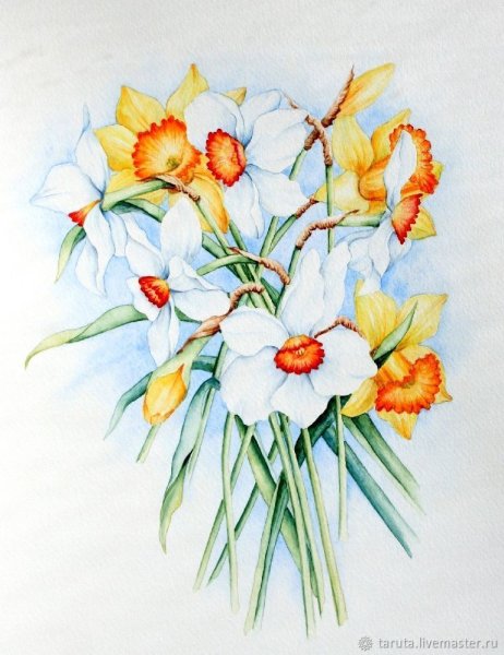 Акварель весенний букет нарциссов
