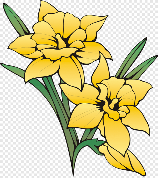 Daffodil символ Уэльса