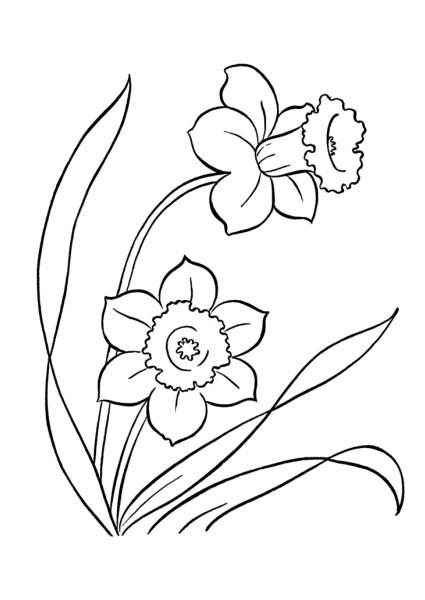 Цветочек карандашом лёгкий