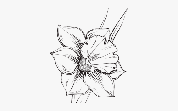 Схемы рисования цветов