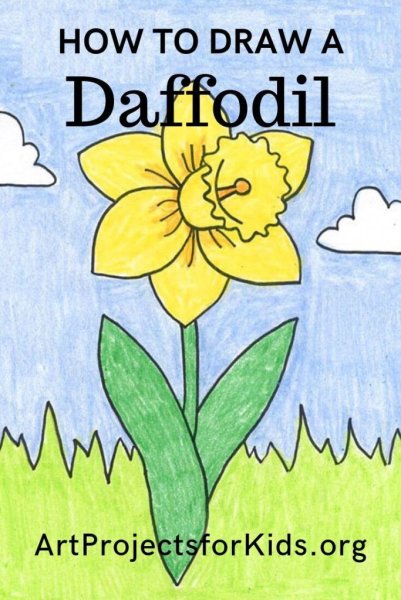 Нарцисс карандашом