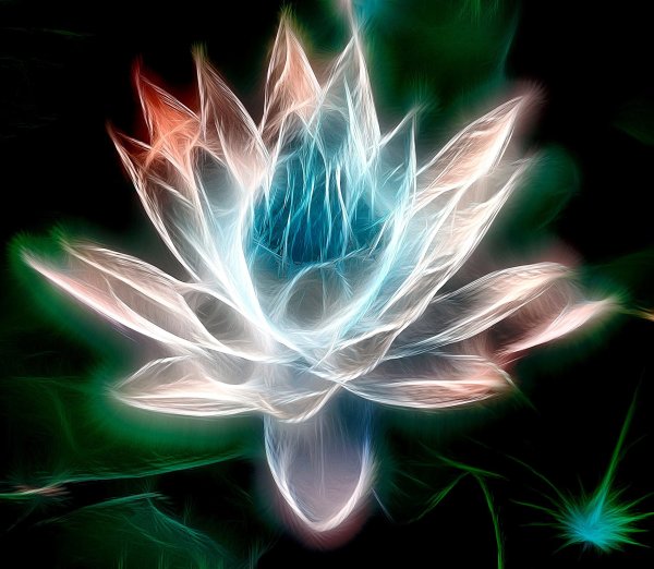 Хитачи Сисайд парк Япония