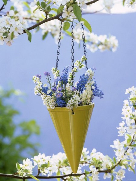 Полевые цветы в руках