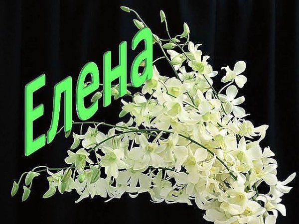 С днём рождения Леночка