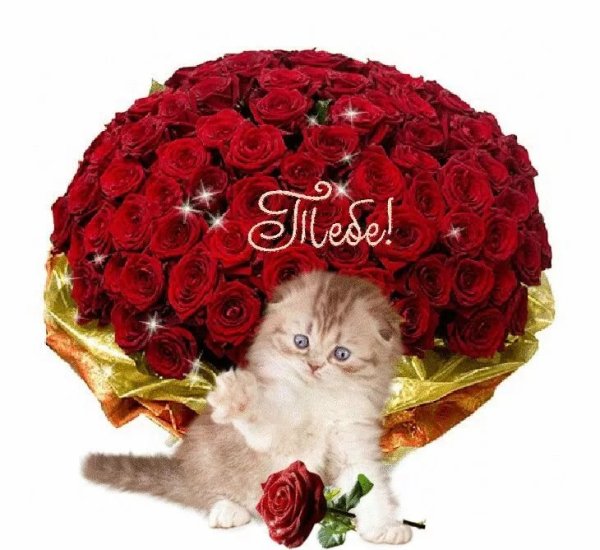 Самой дорогой и любимой женщине