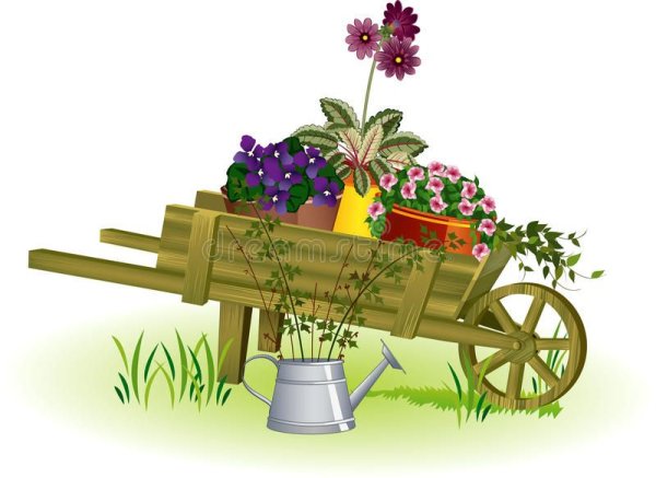 Тележка с цветами на прозрачном фоне