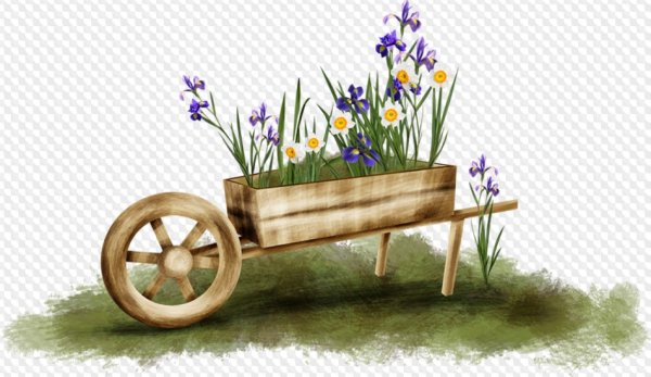 Старая телега с цветами