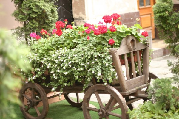 Цветы букеты в телеге