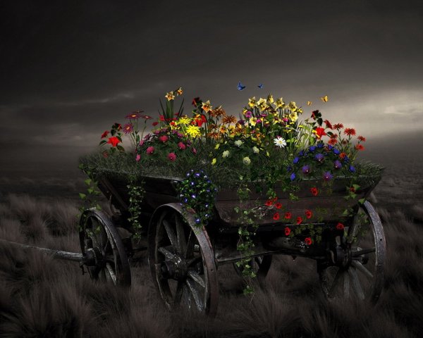 Картины в стиле Прованс