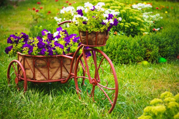 Тележка с цветами на прозрачном фоне