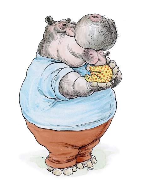 Выздоравливай анимация