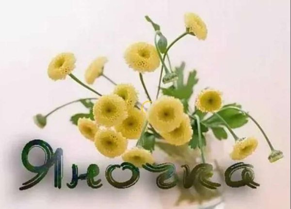 Цветы для Яночки