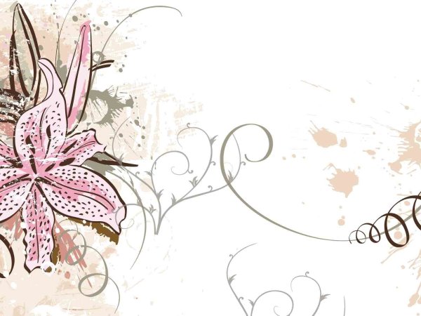 Дизайнерский фон для визитки