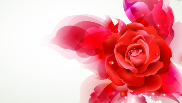 Красный фон с цветами