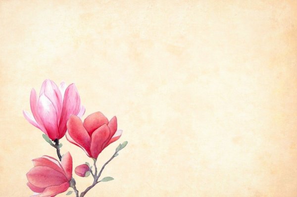 Нежные цветы для визитки