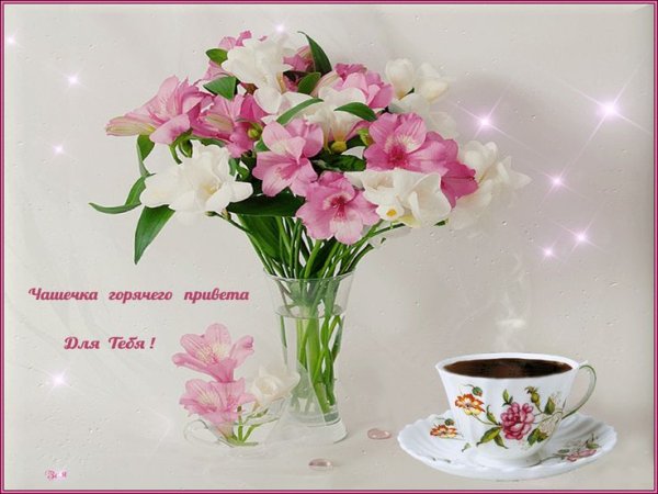 Красивые цветы с пожеланиями доброго дня