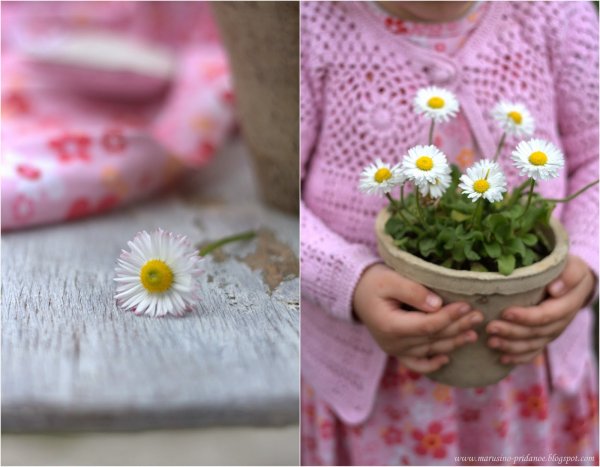 Букет роз для тебя