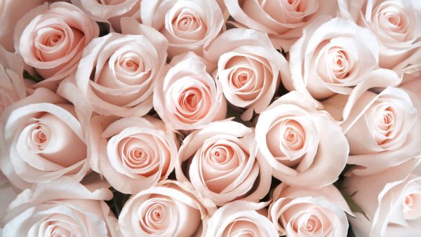 14 Октября день матери