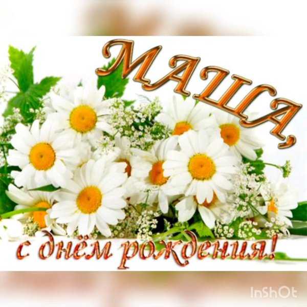 Цветы в салоне