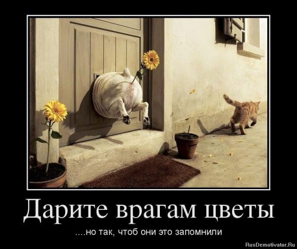 Демотиваторы про врагов