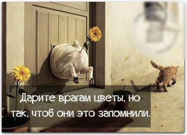 Дарите врагам цветы