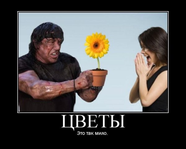 Прикольные мотиваторы в картинках