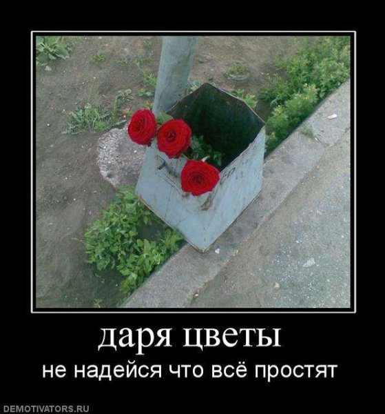 Цветочки демотиватор