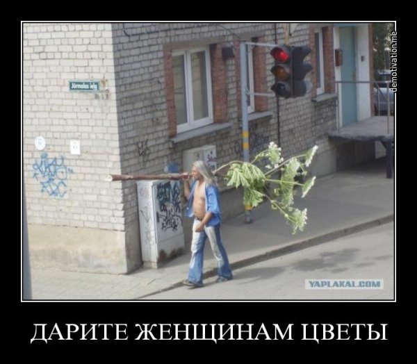 Приколы про врагов
