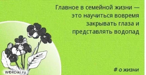 Настя хочет власти