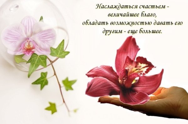 Девушки вам цветы