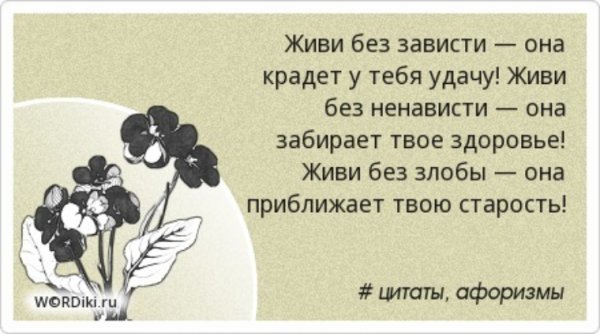Высказывания о жизни и цветах