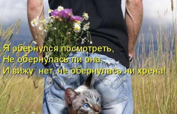 Дарите женщинам цветы стихи