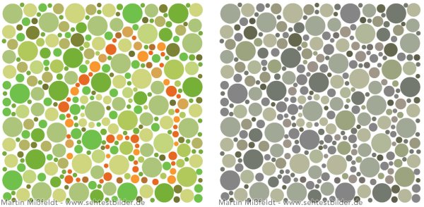 Тесты на дальтонизм и цветоощущение