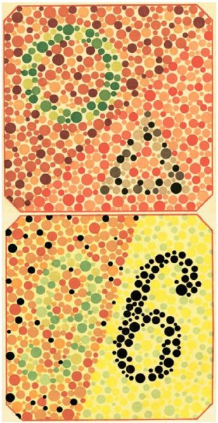 Тест на дальтонизм для водителей