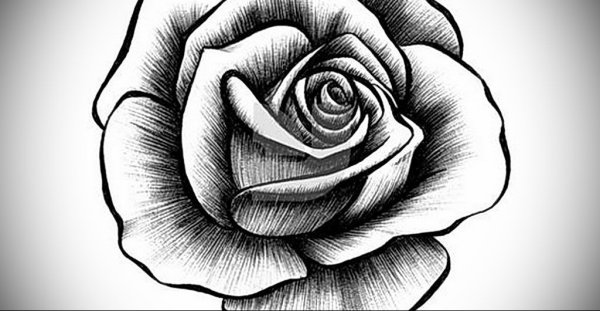 Букет рисунок карандашом